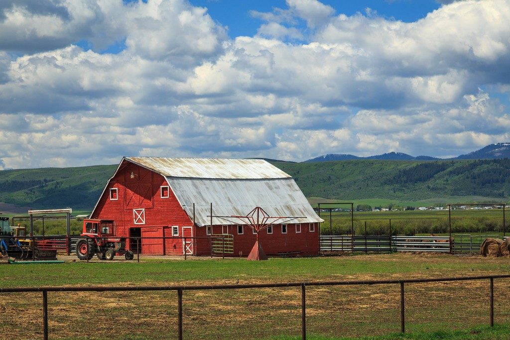 Farm: view of the barn with a truck in front